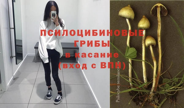 гидра Алзамай