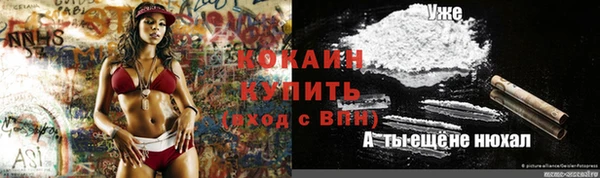 гидра Алзамай