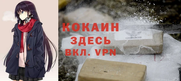 гидра Алексин