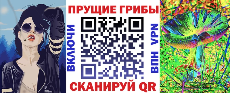 Галлюциногенные грибы Psilocybe  Карачаевск 