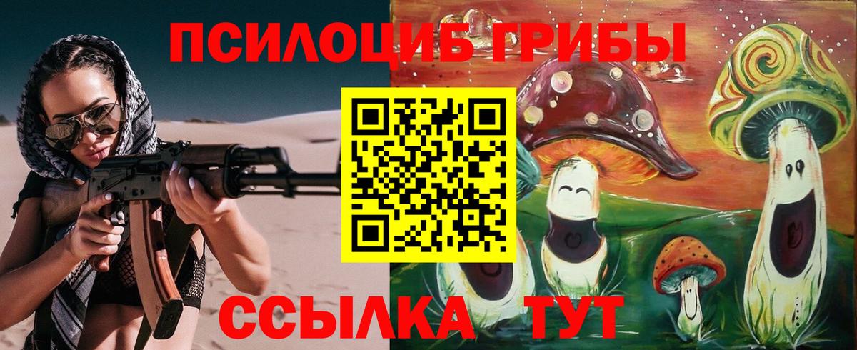 Галлюциногенные грибы Cubensis  Вход с VPN  Карачаевск 