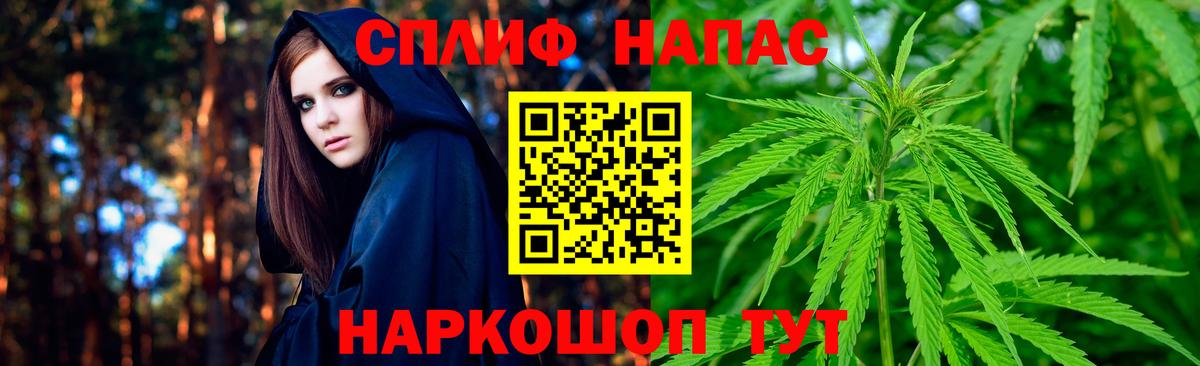 Бошки Шишки VHQ Карачаевск